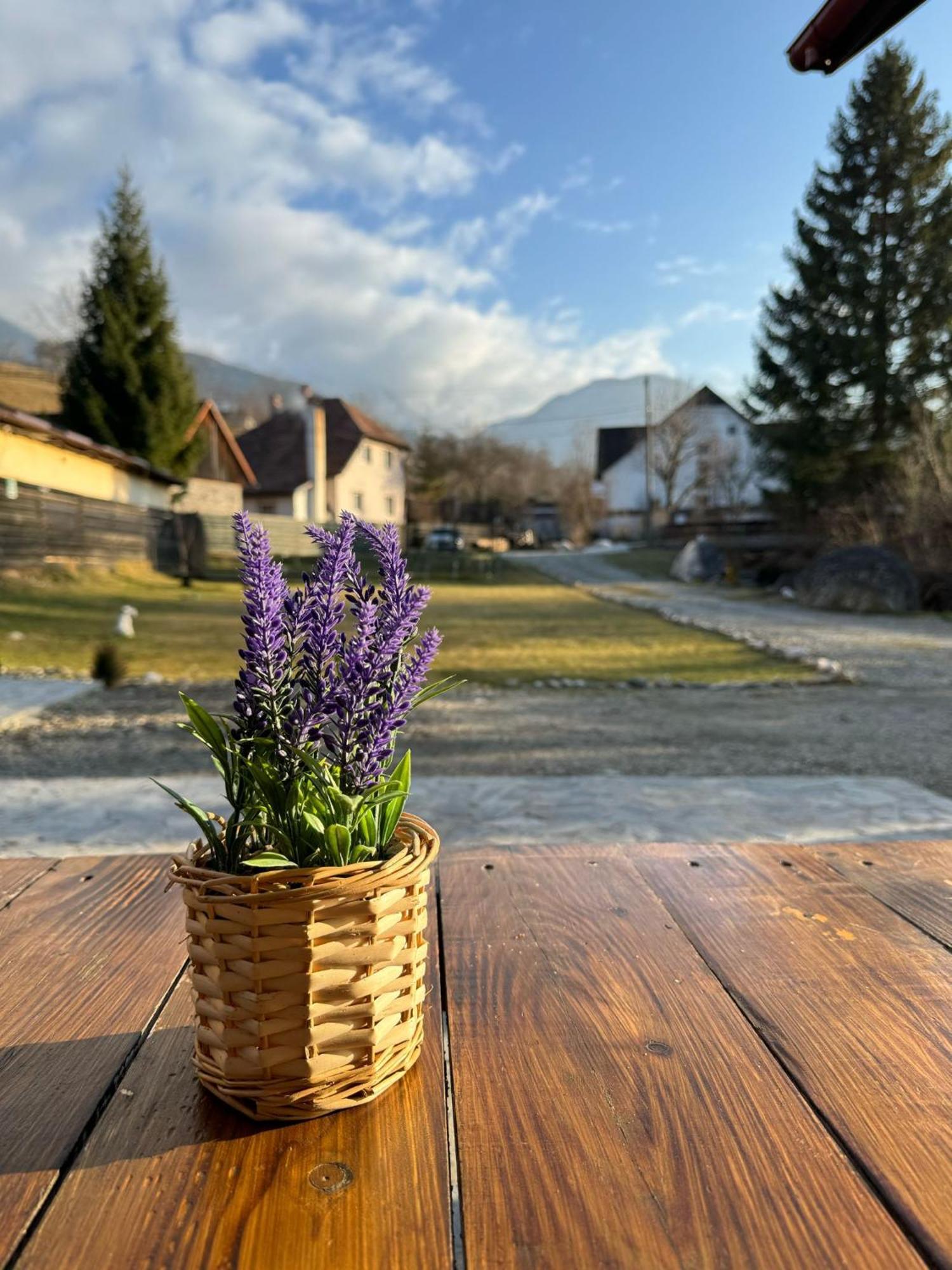 Vila Vibrant Бран Экстерьер фото